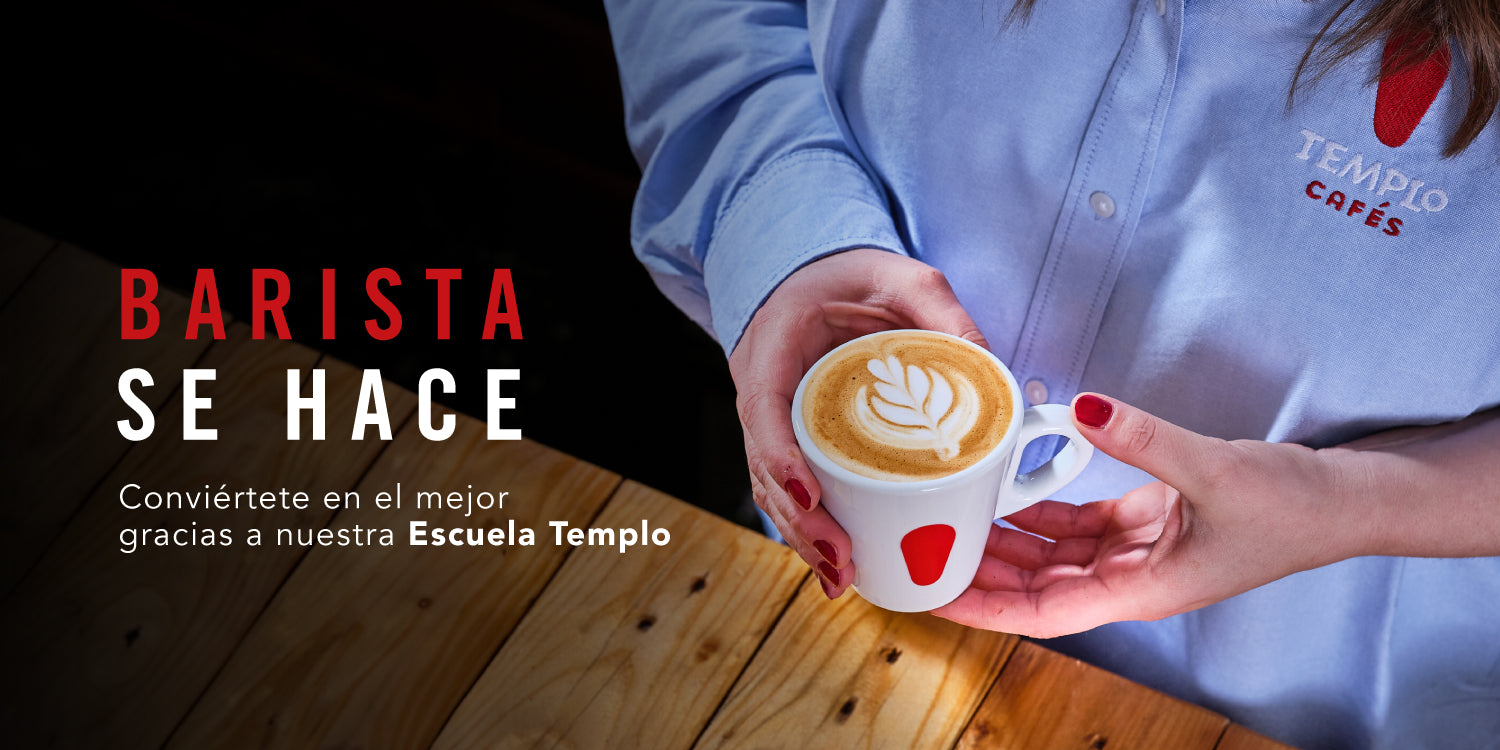 Conviértete en barista ☕