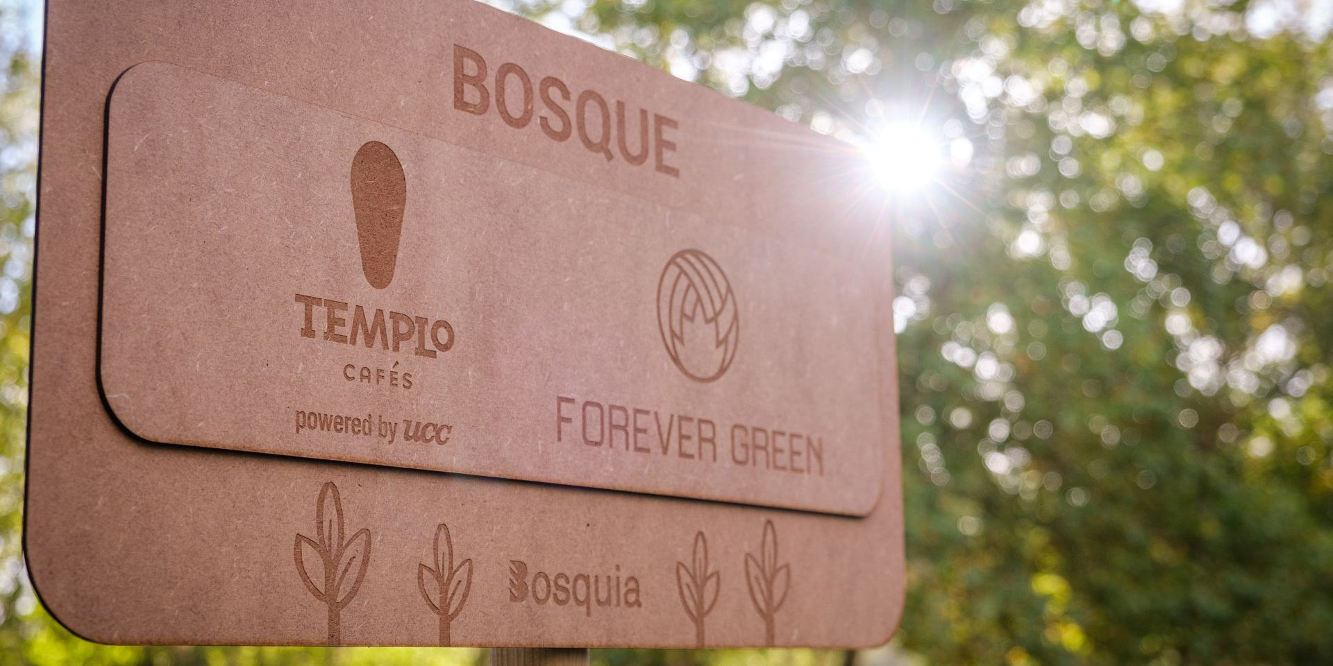 Creando el Bosque de Templo Cafés con Forever Green