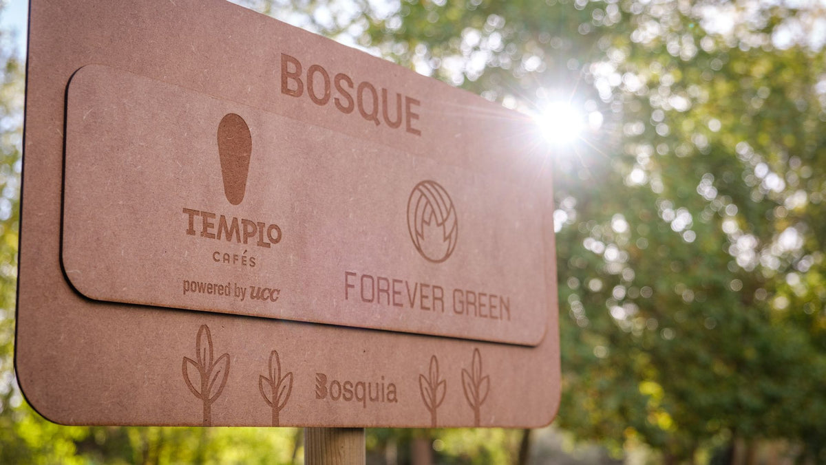 Creando el Bosque de Templo Cafés con Forever Green